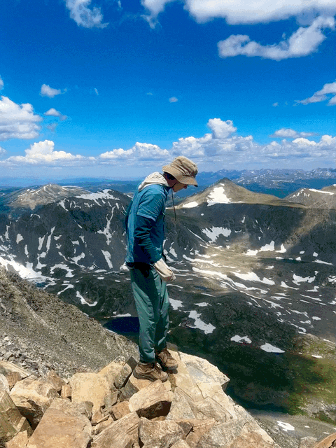 Pollen Nation graphic