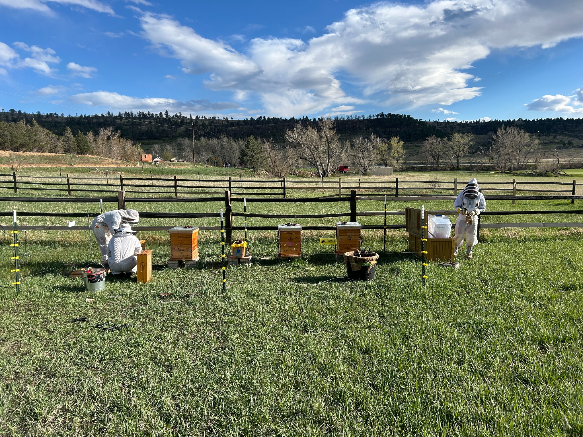 Landscape view used as hero backdrop