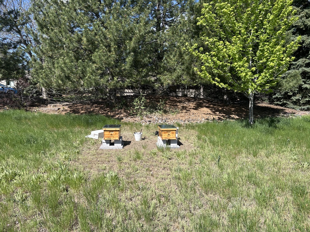 Beekeepers tending to hives