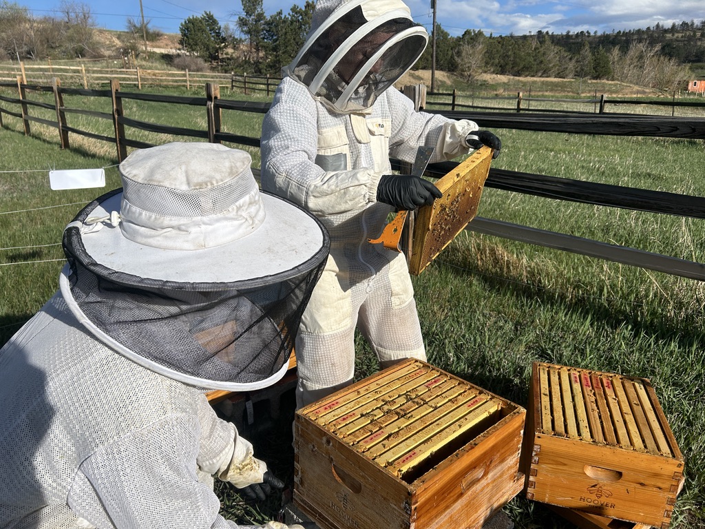 Homestead Assistance